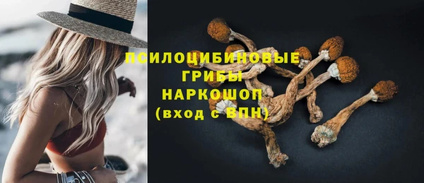 соль ск Арсеньев