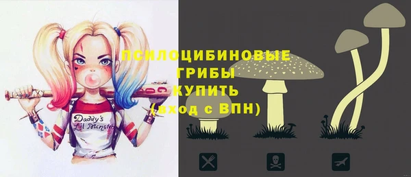 мдпв Армянск