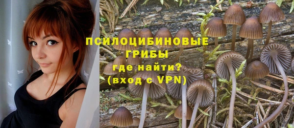 мдпв Армянск