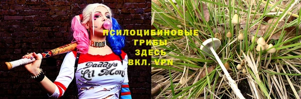 соль ск Арсеньев