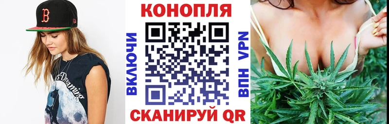 сколько стоит  Сухой Лог  Конопля планчик 